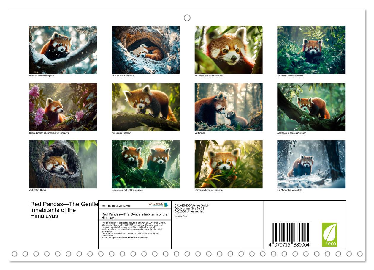 Rote Pandas - Himalayas sanfte Bewohner