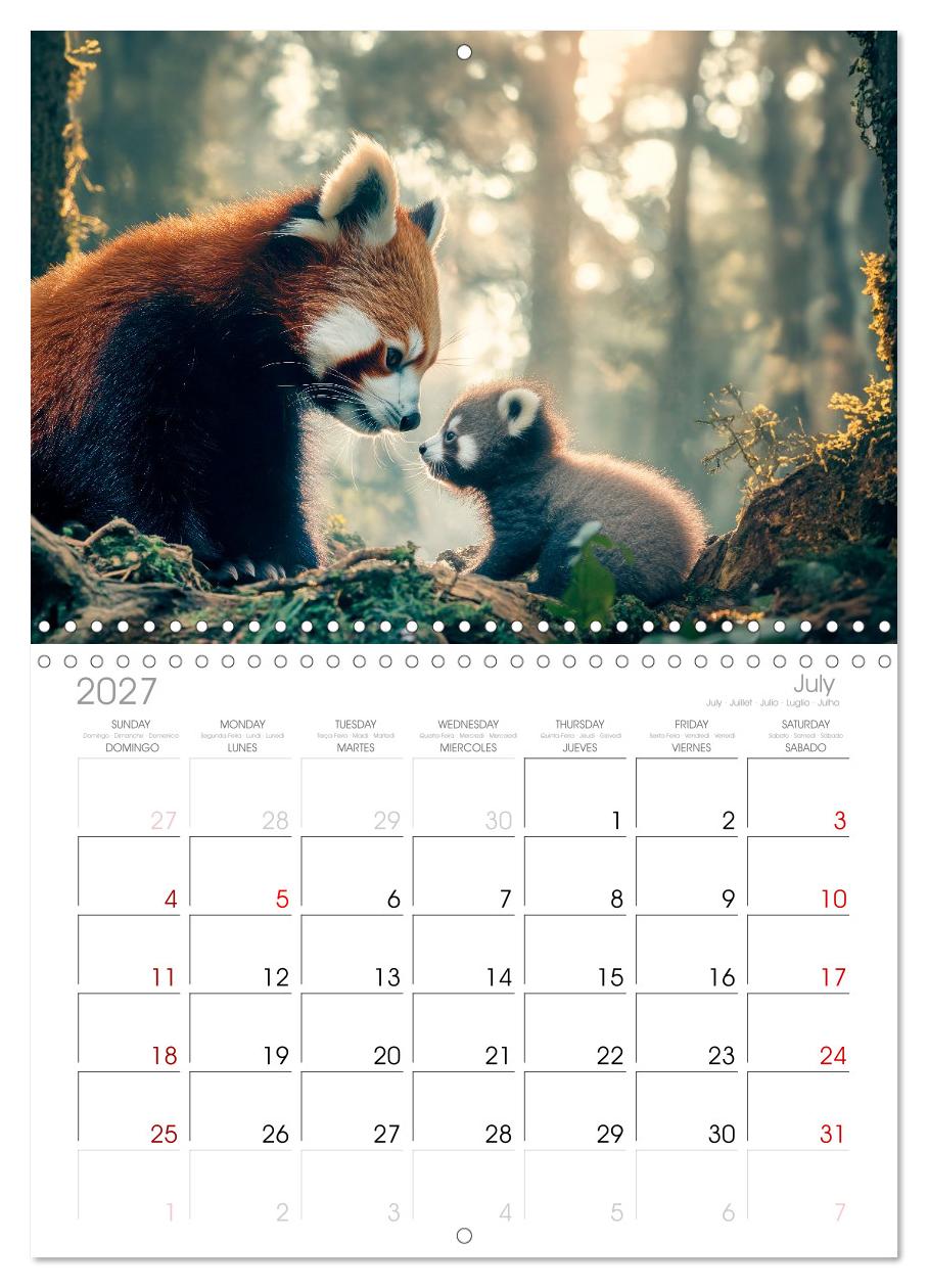 Rote Pandas - Himalayas sanfte Bewohner