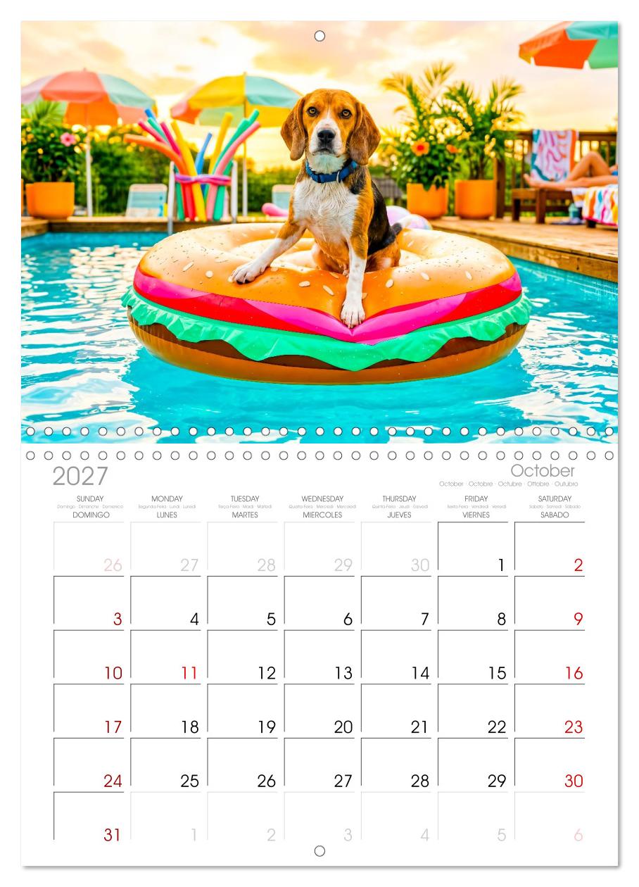 Hunde am Pool - Sommer, Spaß und nasse Pfoten