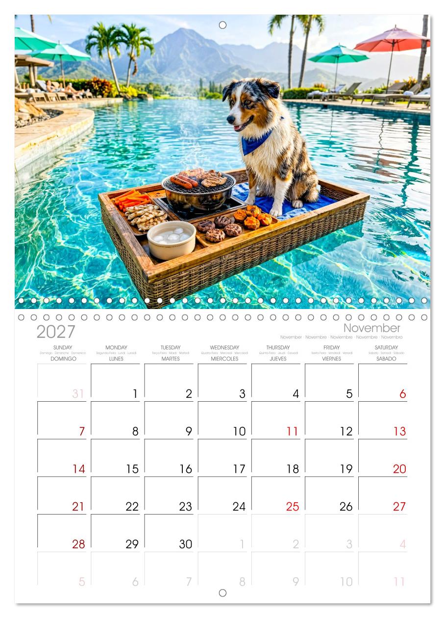 Hunde am Pool - Sommer, Spaß und nasse Pfoten
