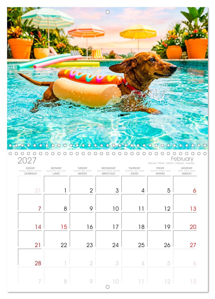 Hunde am Pool - Sommer, Spaß und nasse Pfoten