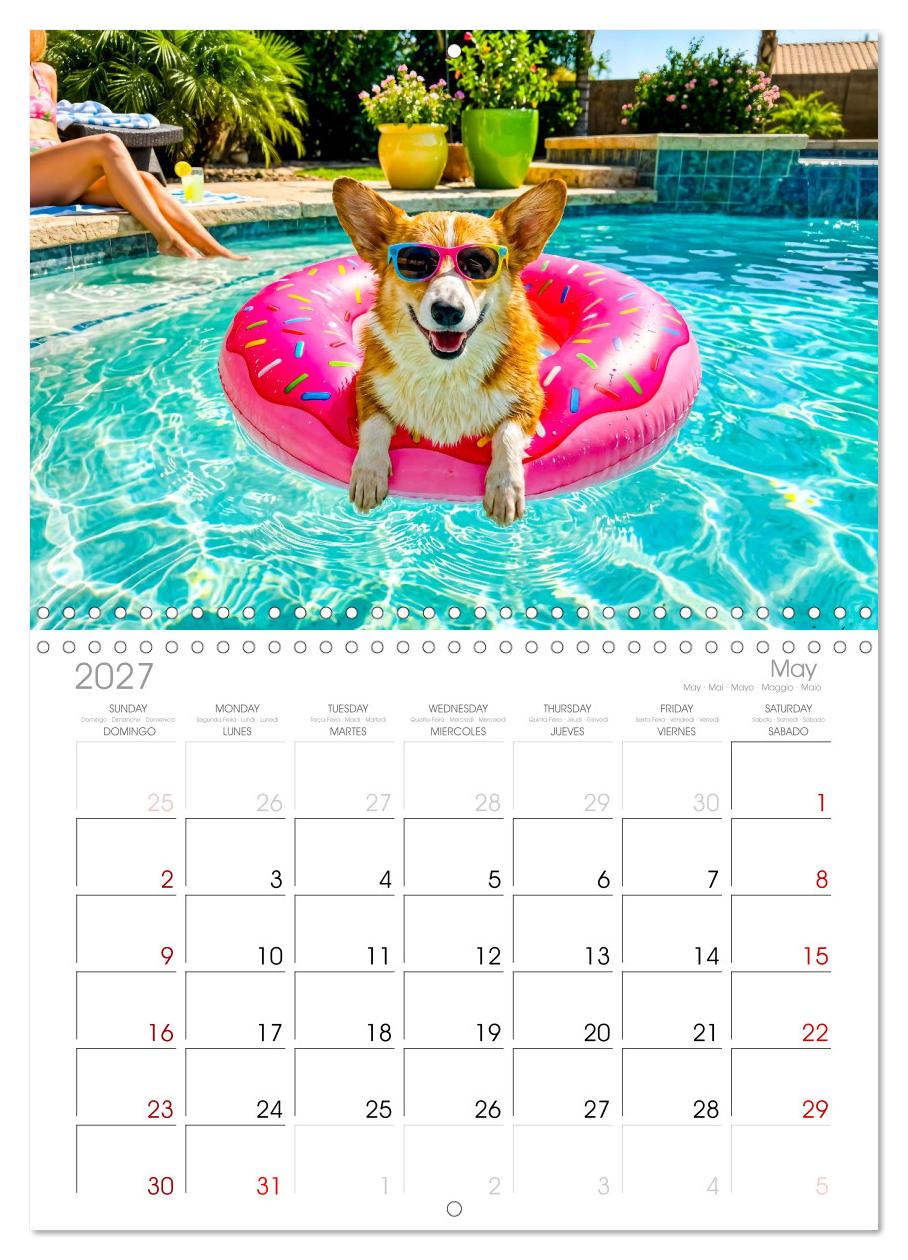 Hunde am Pool - Sommer, Spaß und nasse Pfoten