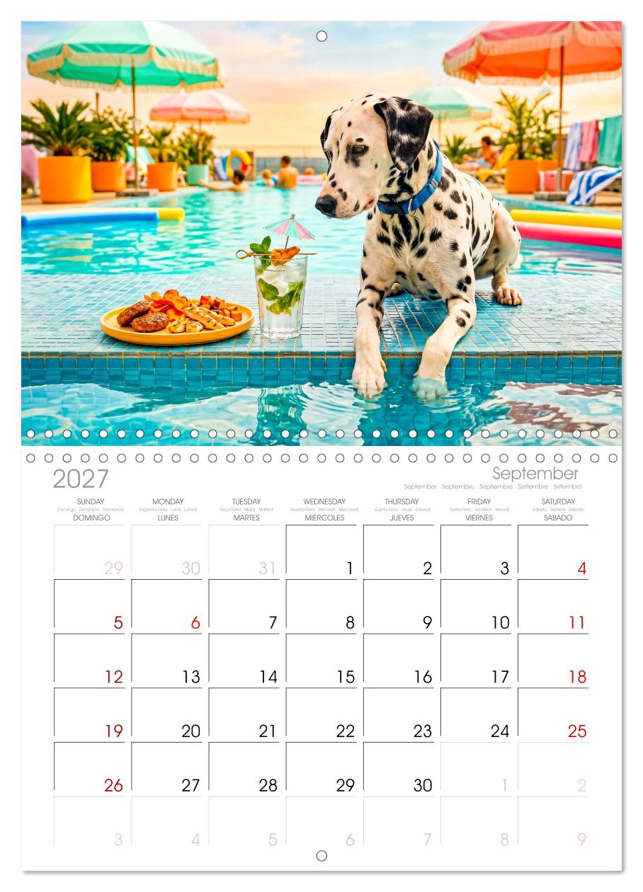 Hunde am Pool - Sommer, Spaß und nasse Pfoten