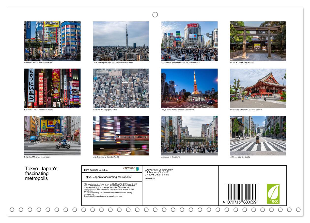 Tokio. Die faszinierende Metropole Japans