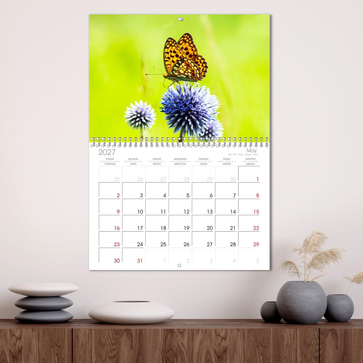 Die Welt der Schmetterlinge