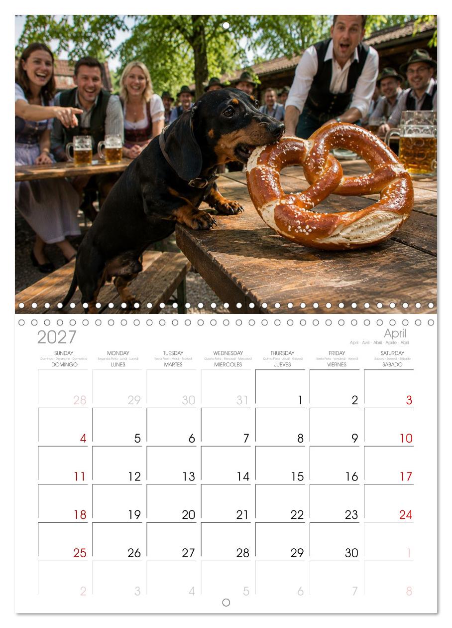 Dackel, Bier und Brezen