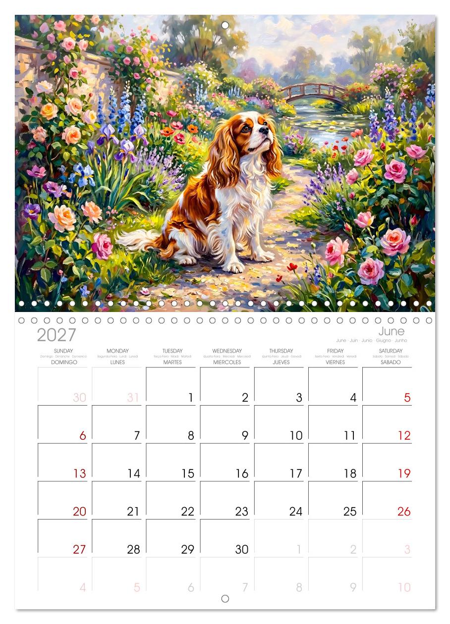 Cavalier King Charles Spaniel - Lieblingshund der Belle Époque