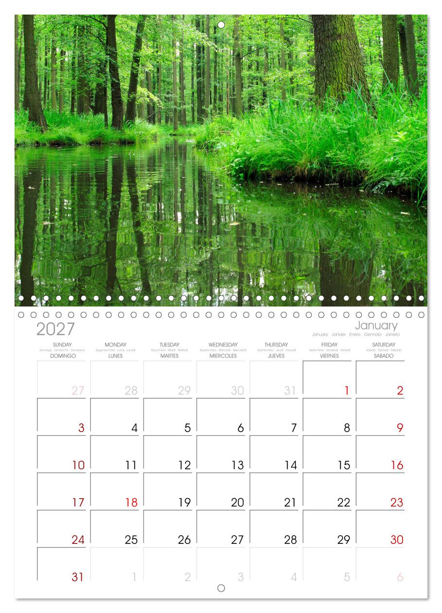 Spreewald Natur und Kulturlandschaft