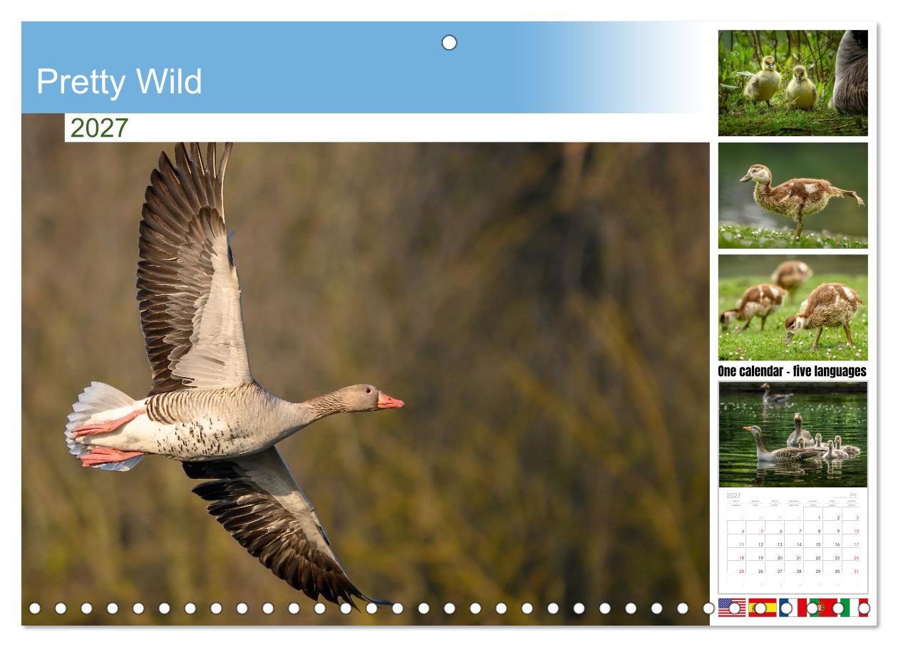 Gans schön wild