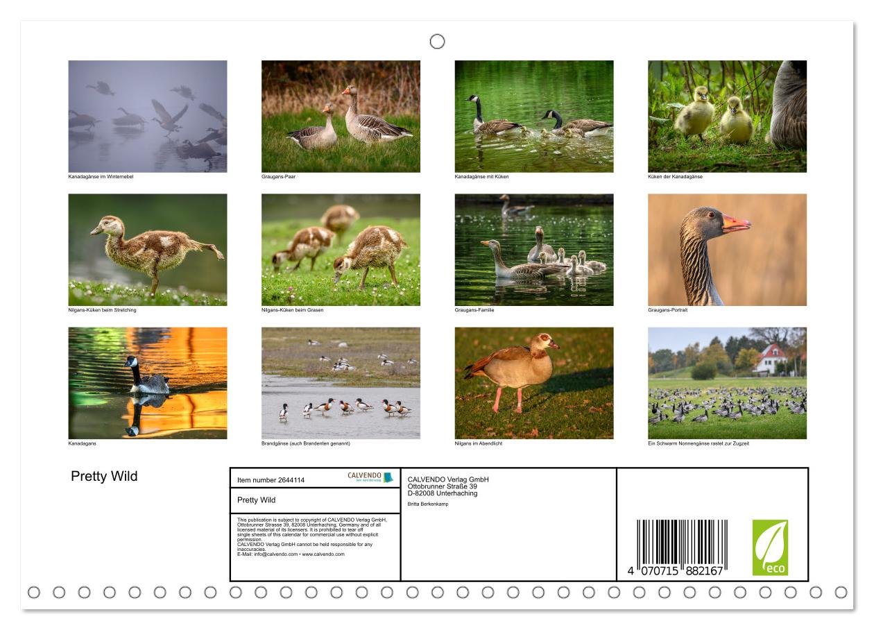 Gans schön wild