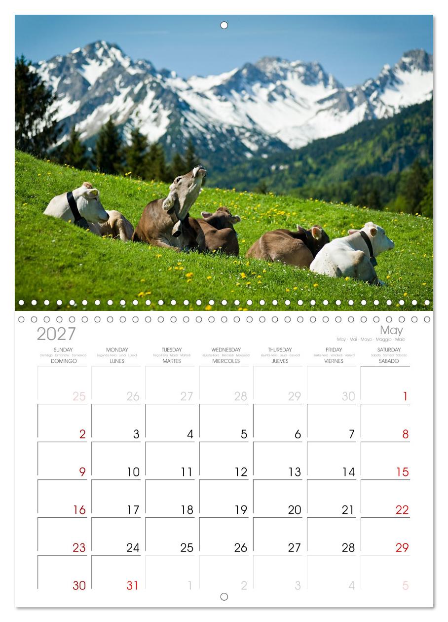Traumhaftes Allgäu