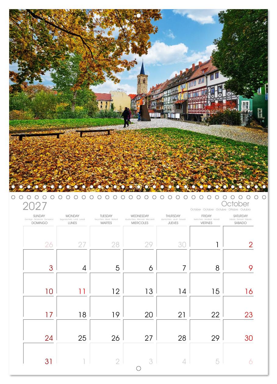 Erfurt - Stadt meines Herzens