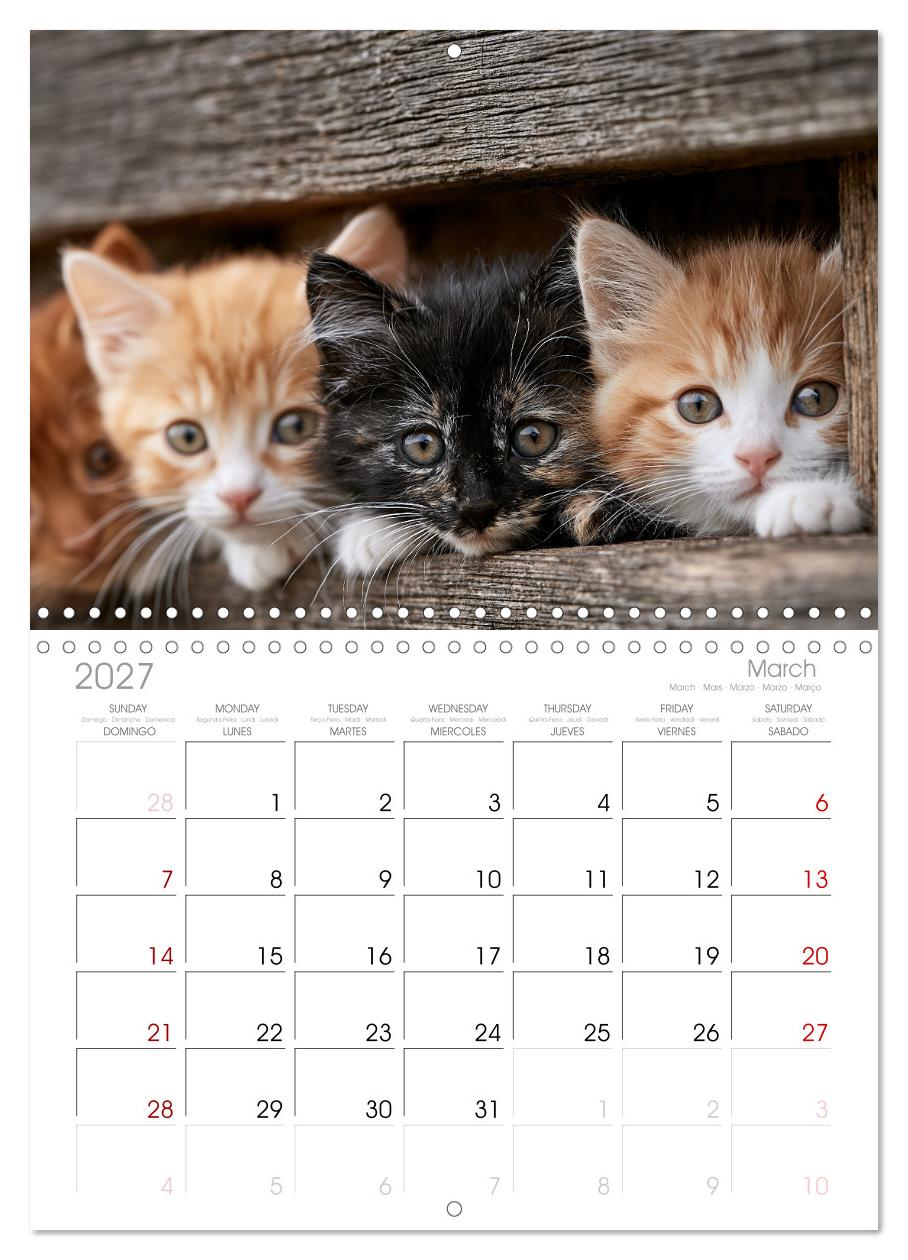 Neugierig auf das Leben!