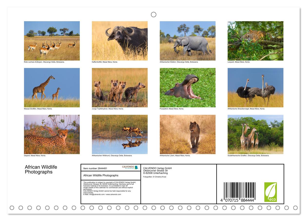 Afrika Wildlife-Fotografien