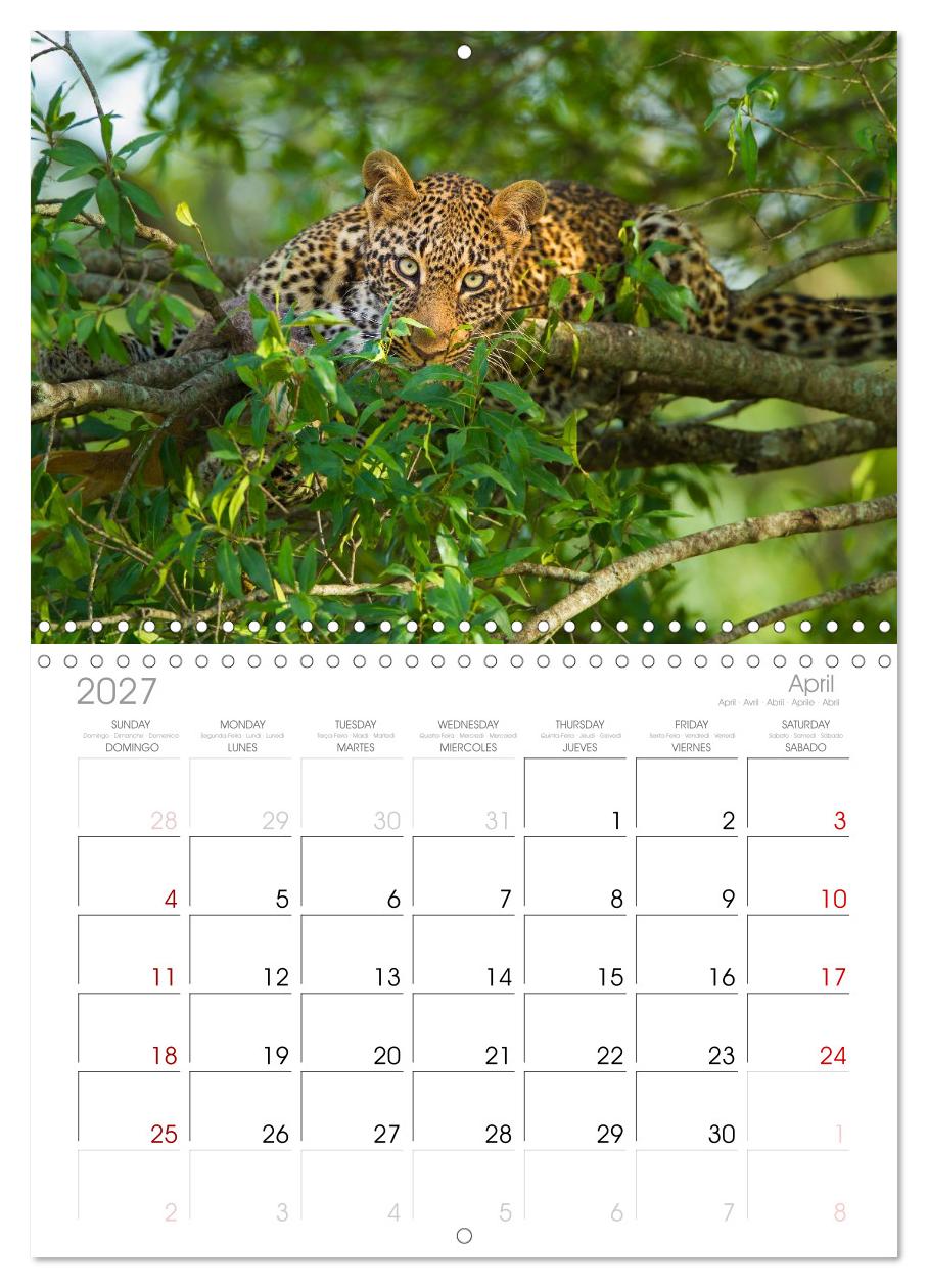 Afrika Wildlife-Fotografien
