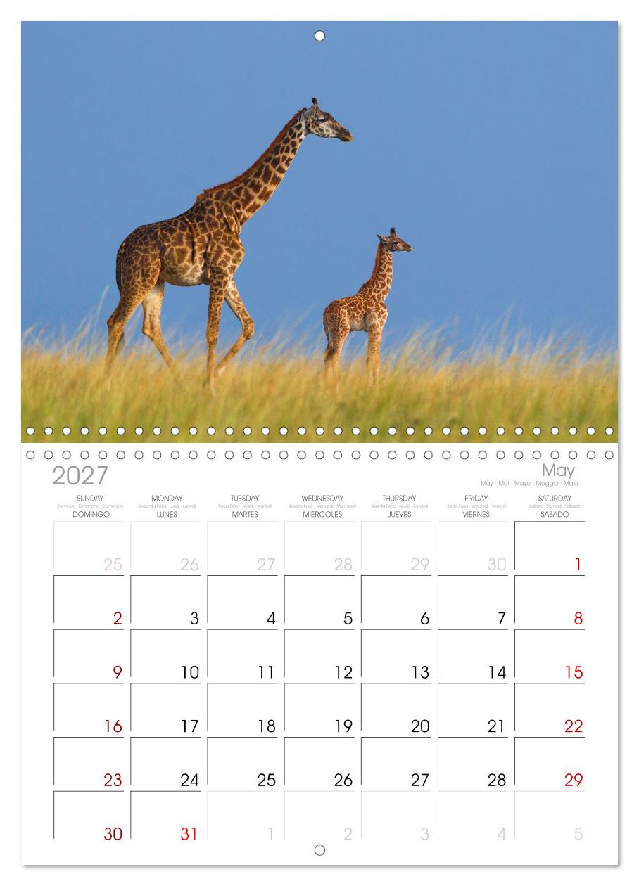 Afrika Wildlife-Fotografien