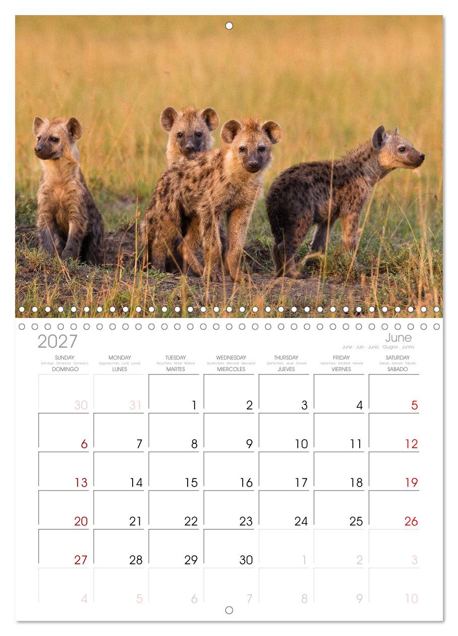 Afrika Wildlife-Fotografien