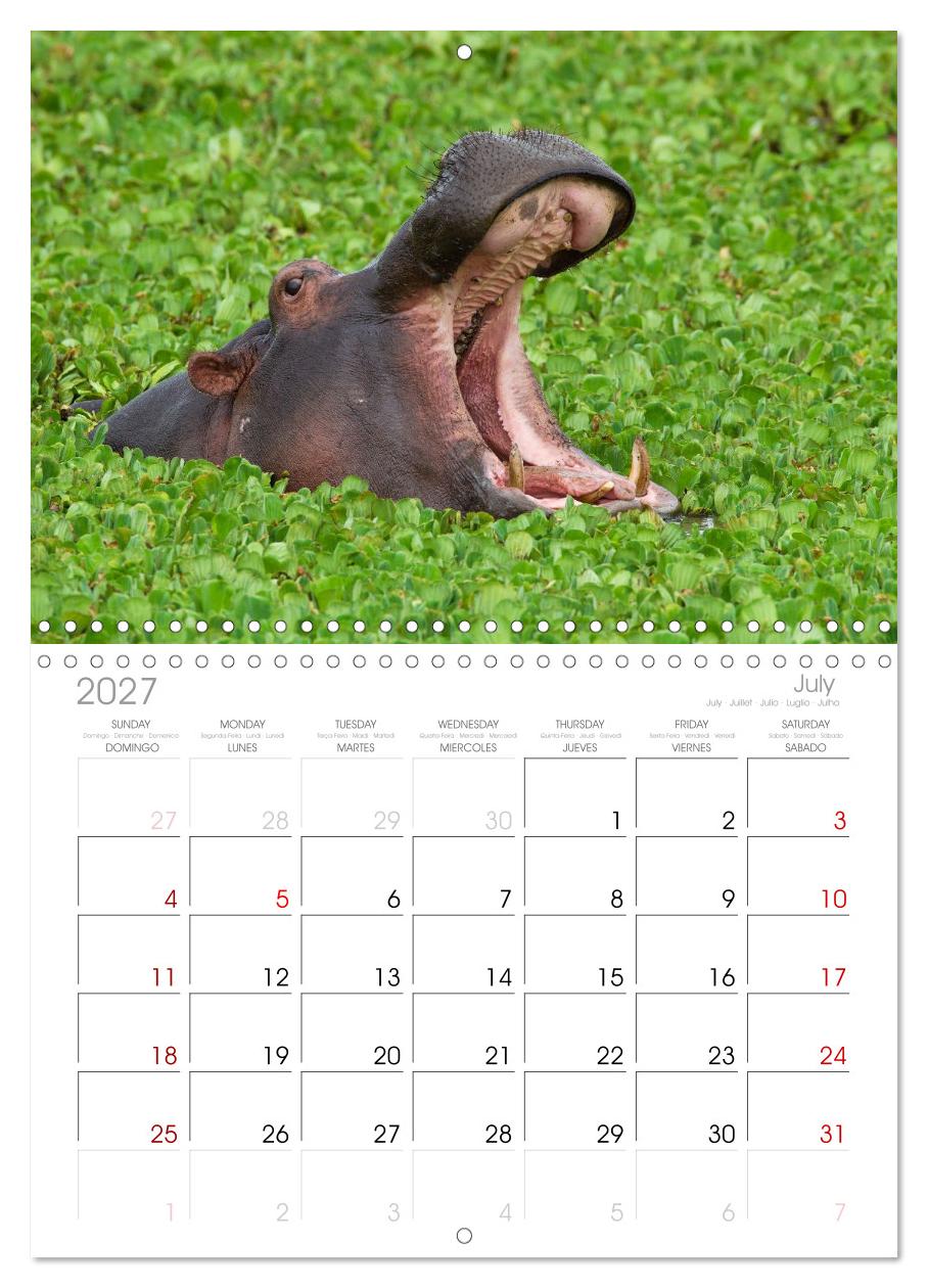 Afrika Wildlife-Fotografien