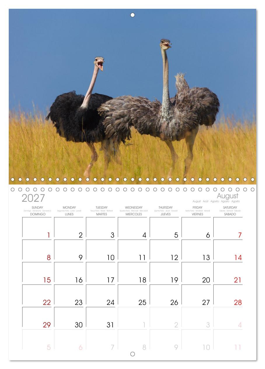 Afrika Wildlife-Fotografien