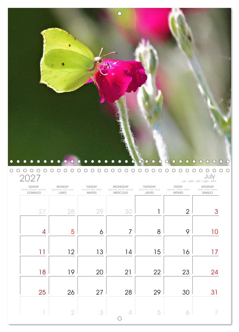 Zwischen Grashalm und Blüte