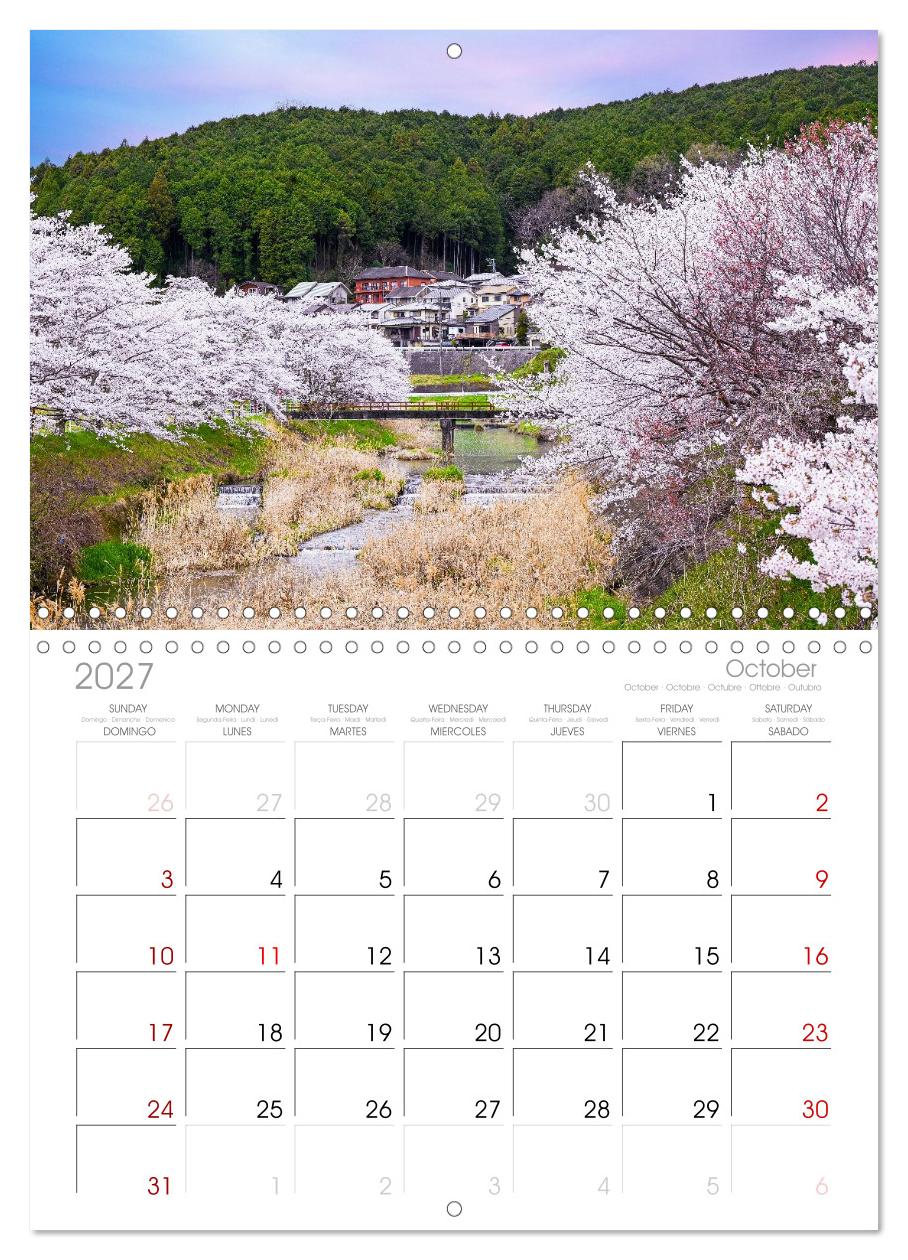 Japans wundervolle Kirschblüte