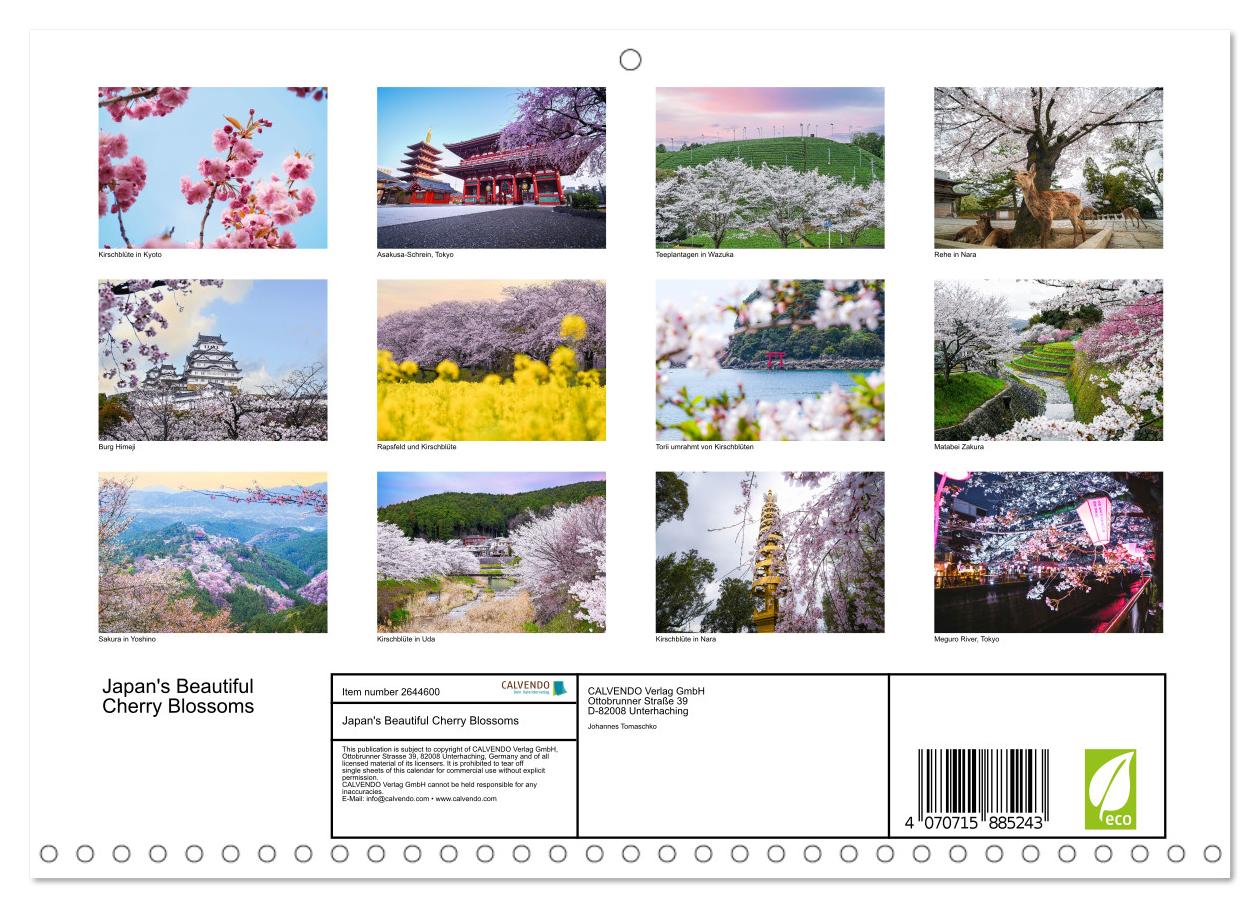 Japans wundervolle Kirschblüte