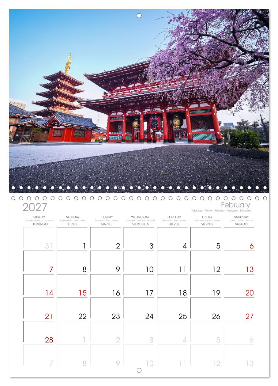 Japans wundervolle Kirschblüte