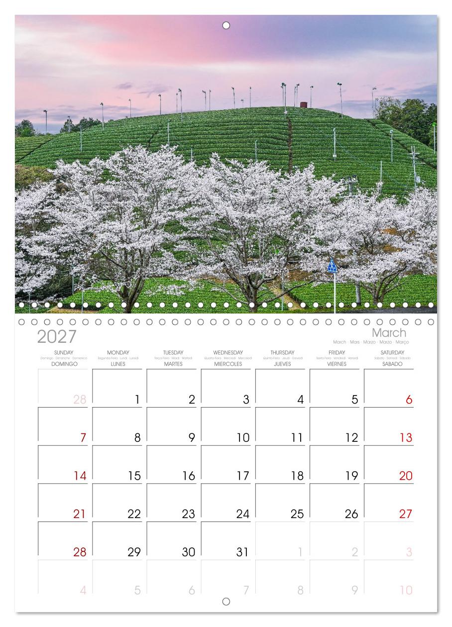 Japans wundervolle Kirschblüte