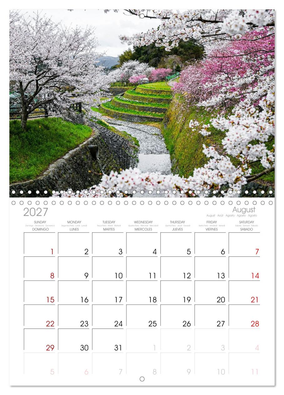 Japans wundervolle Kirschblüte
