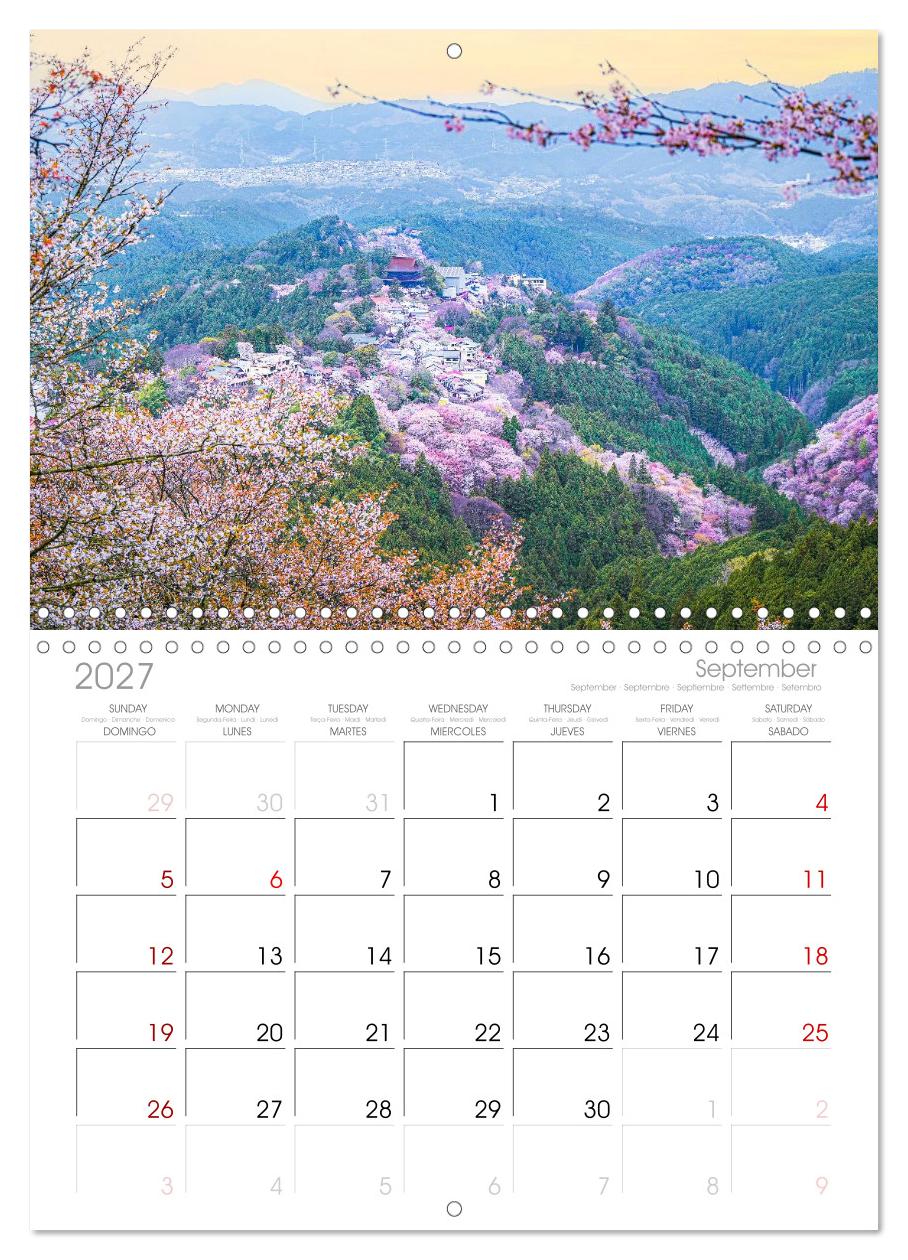 Japans wundervolle Kirschblüte