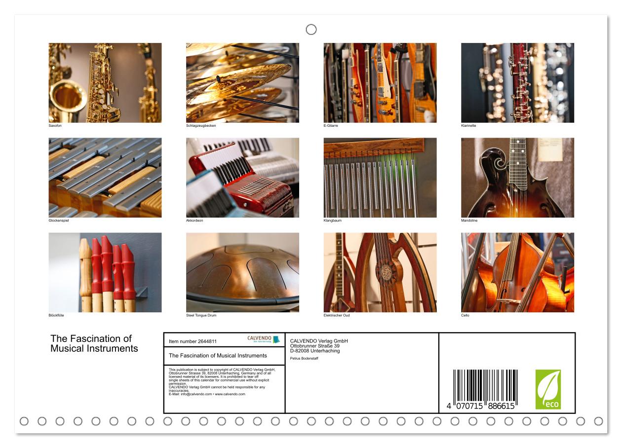 Faszination Musikinstrumente