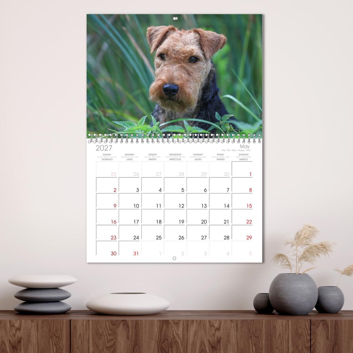 Welsh Terrier - treue Gefährten und vielseitige Jäger