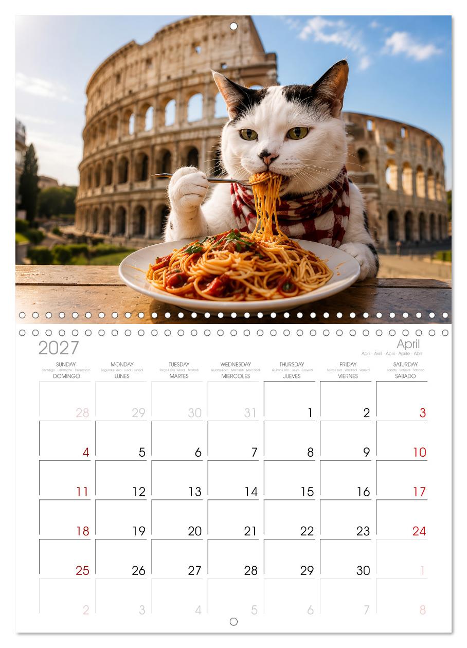 Eine Katze reist um die Welt
