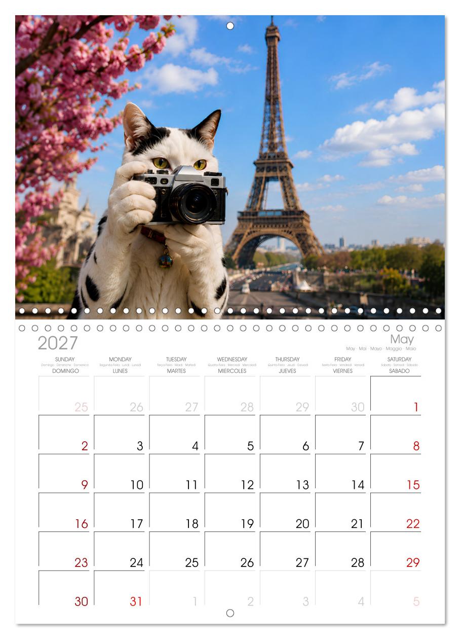 Eine Katze reist um die Welt