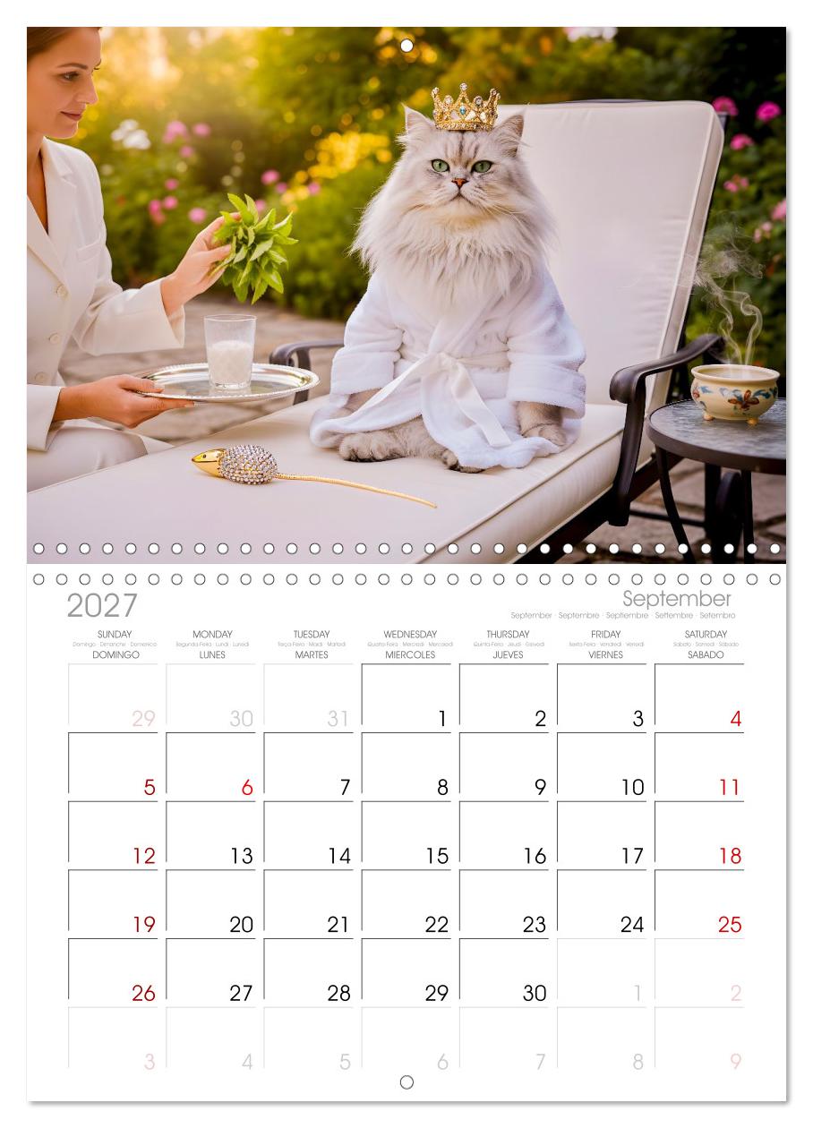 Alles für die Katze - Herrschaft Deluxe mit Charme und Wellness