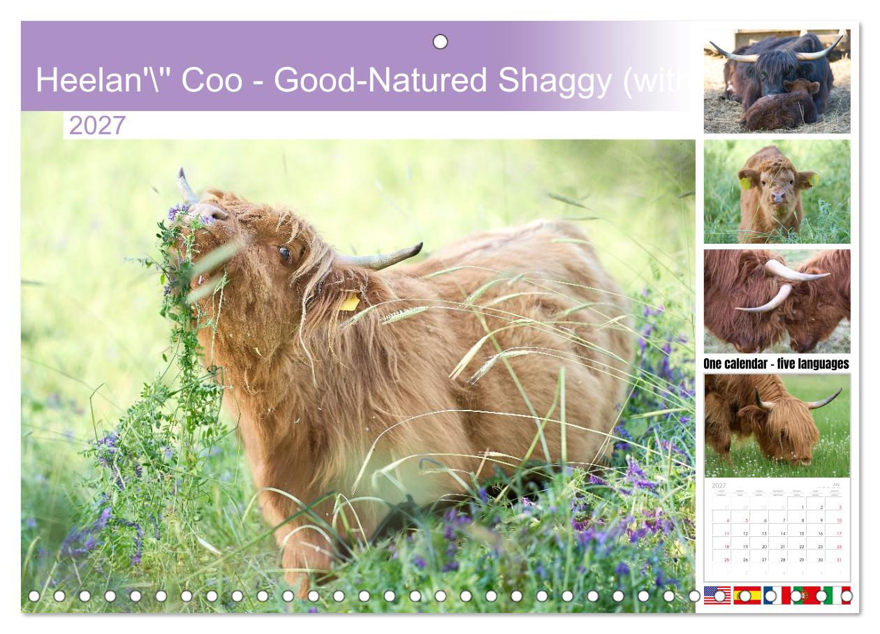 Heelan' Coo - Gutmütige Zottel (mit Terminplaner)