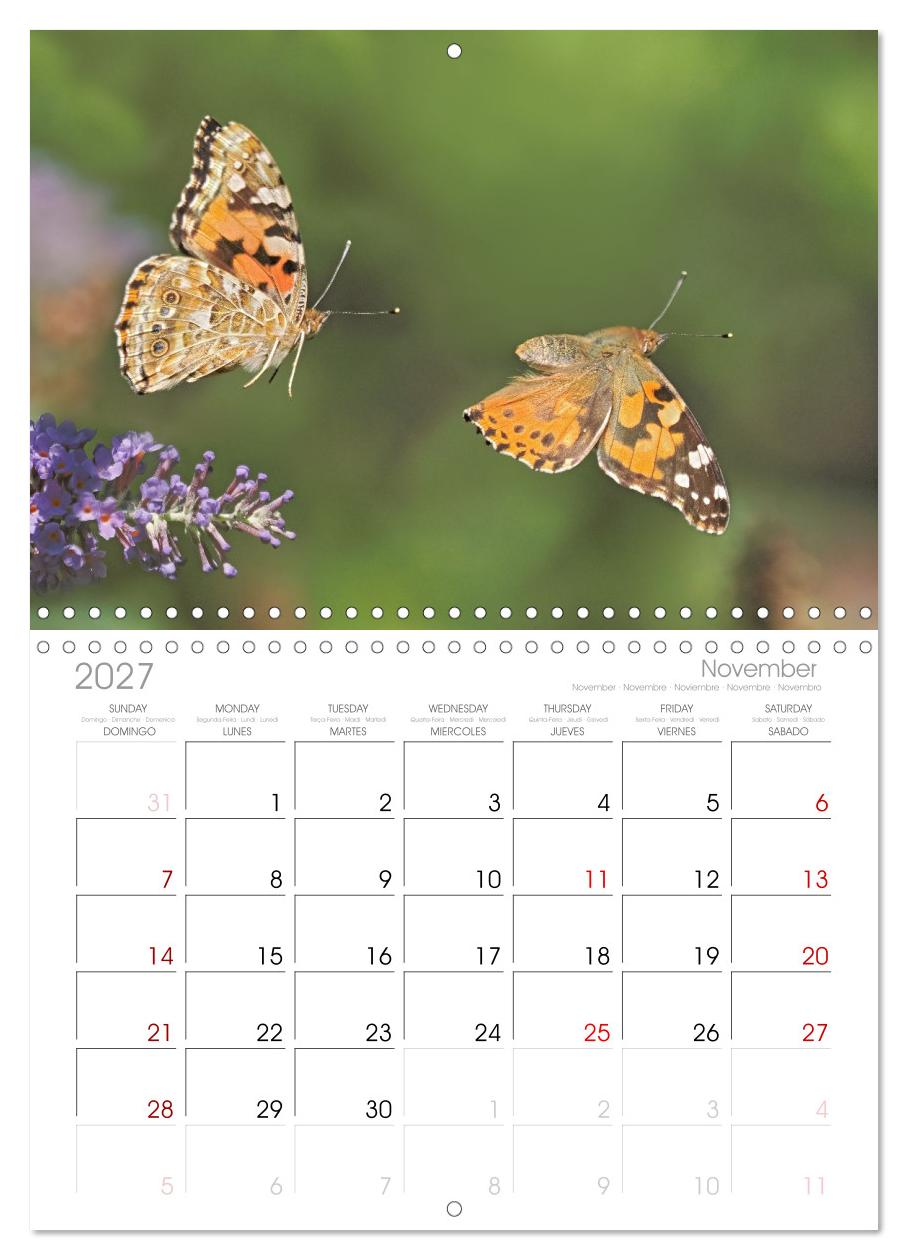 Fliegende Schmetterlinge