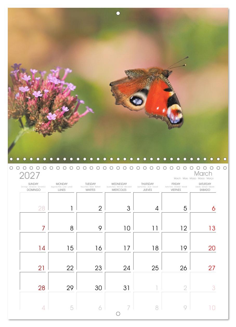 Fliegende Schmetterlinge