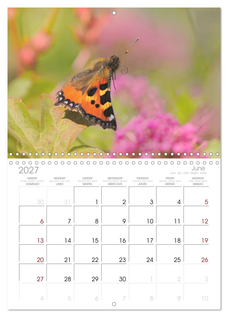 Fliegende Schmetterlinge