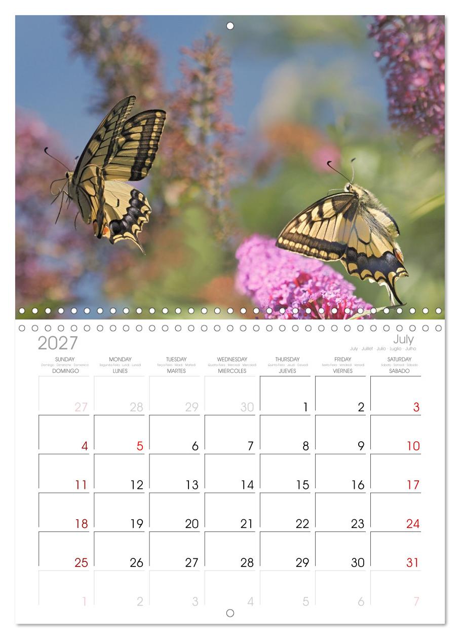 Fliegende Schmetterlinge