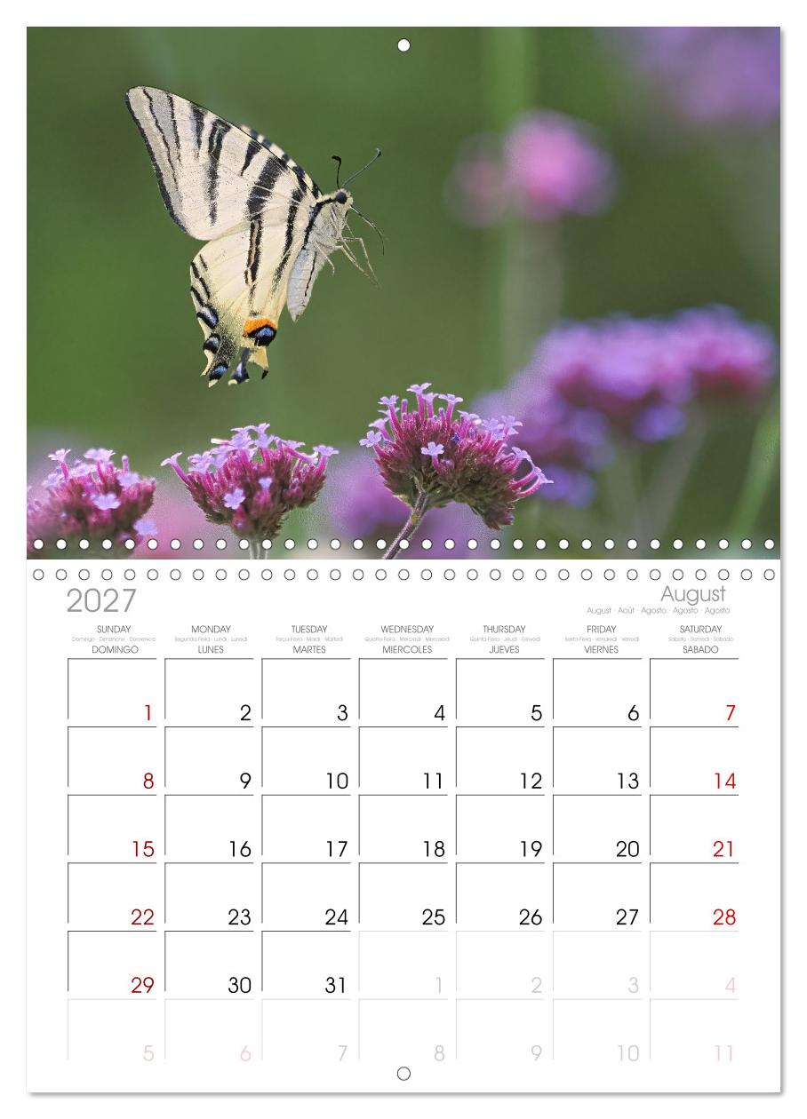Fliegende Schmetterlinge