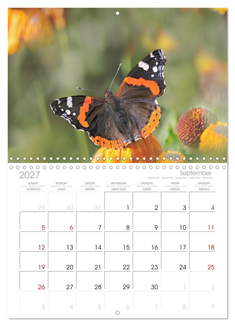 Fliegende Schmetterlinge