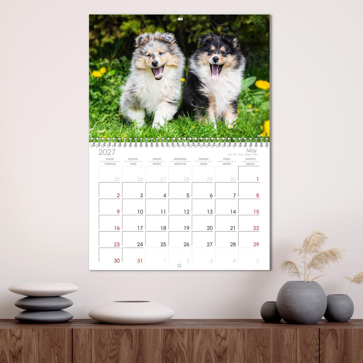 Faszinierende Rough Collies