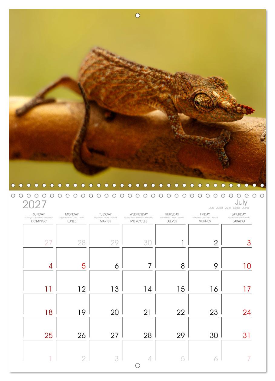 Tierisch tolles Madagaskar - Chamäleons, Lemuren und mehr