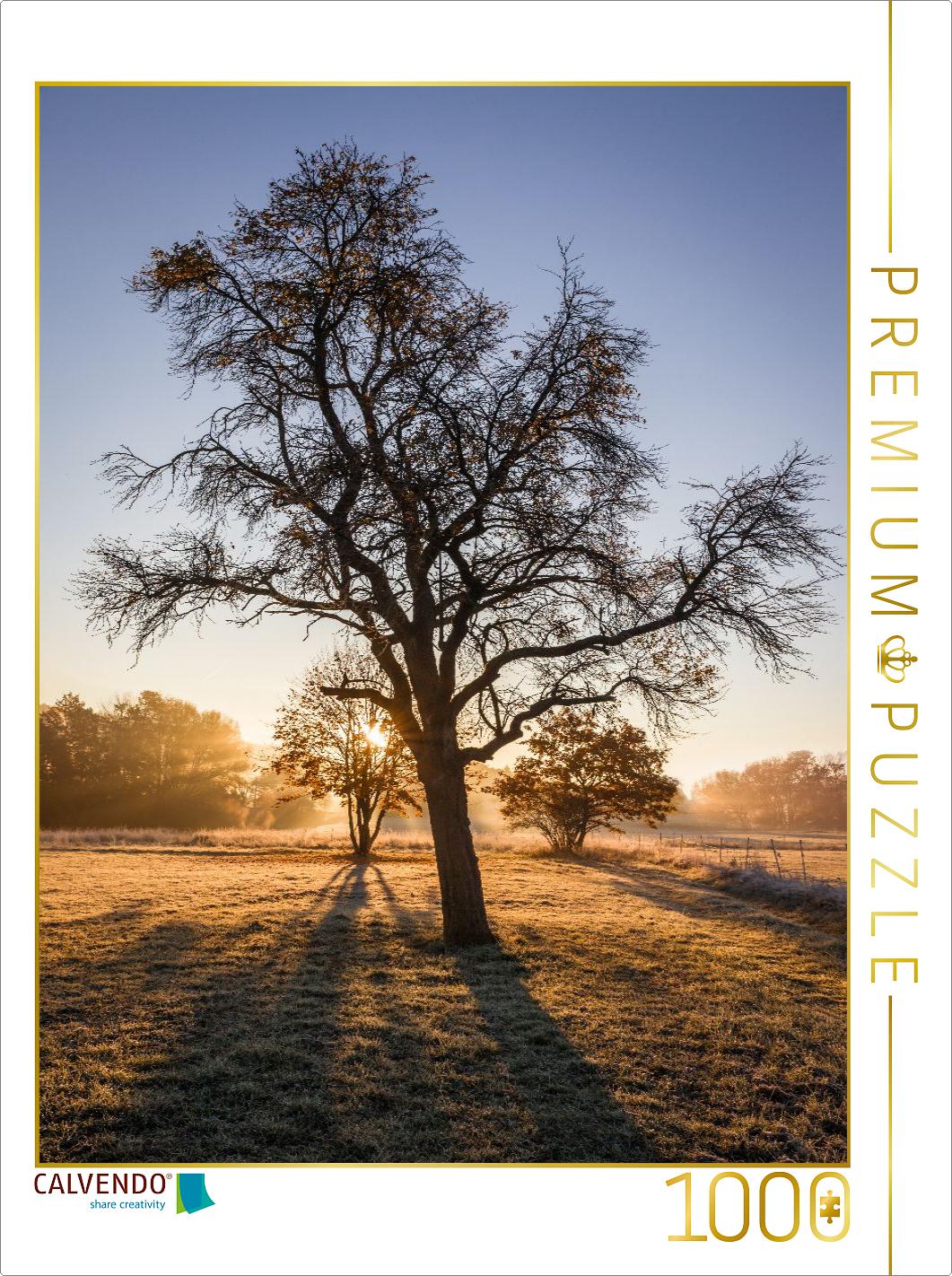 Morgenstimmung in der Talniederung bei Niederseelbach im Taunus, Hessen