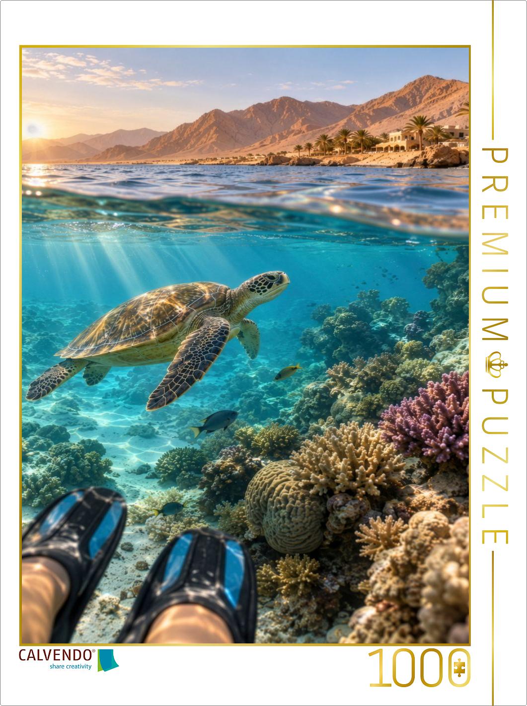 Schnorcheln im Roten Meer