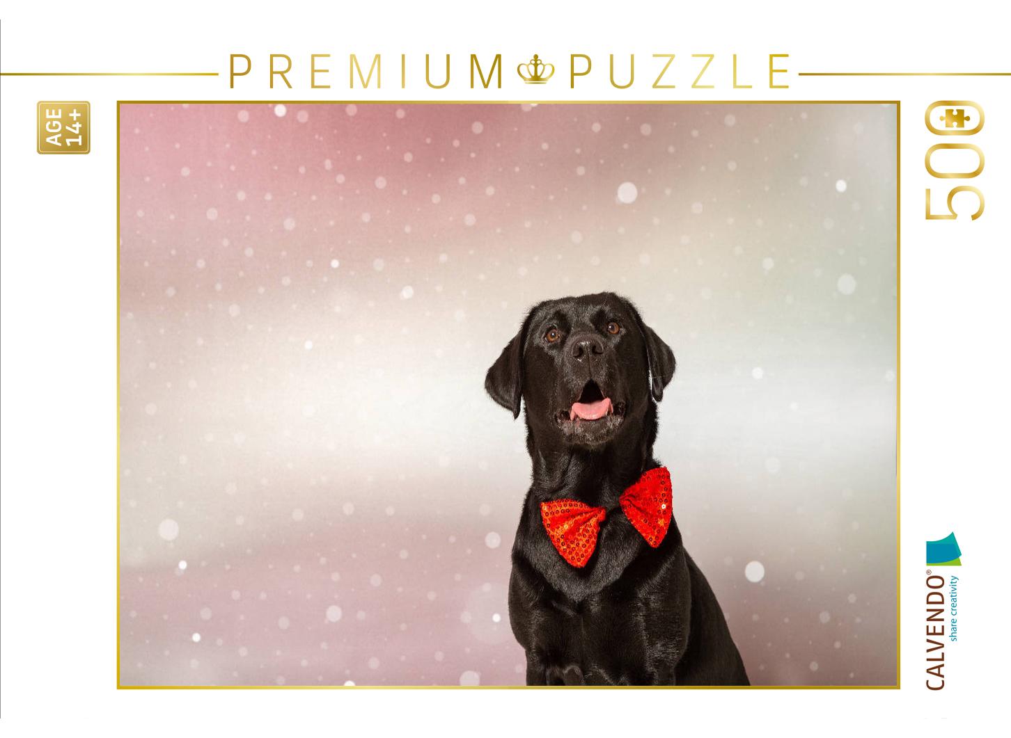 Fröhliche Weihnachten wünscht dieser festliche Labrador!