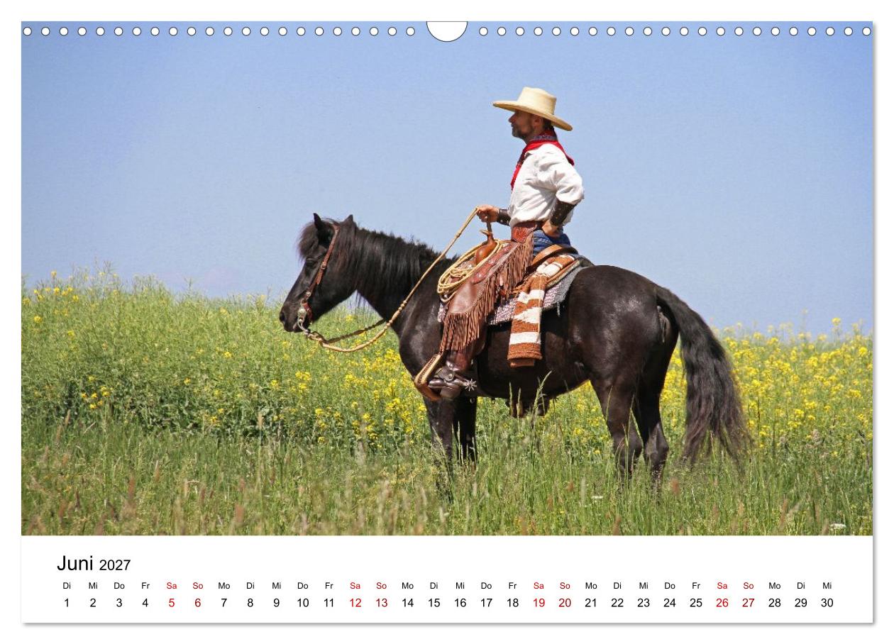 Getragen von Pferden, geformt vom Land - COWBOYS und Cowgirls