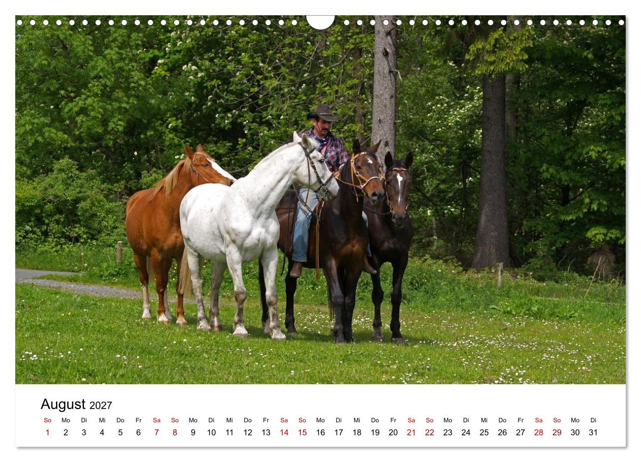 Getragen von Pferden, geformt vom Land - COWBOYS und Cowgirls