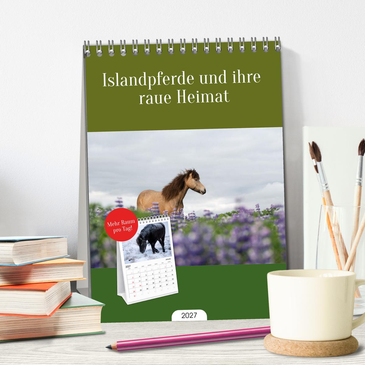 Islandpferde und ihre raue Heimat